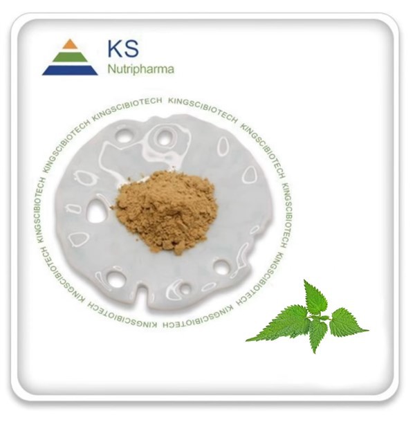 Izvleček korenine koprive